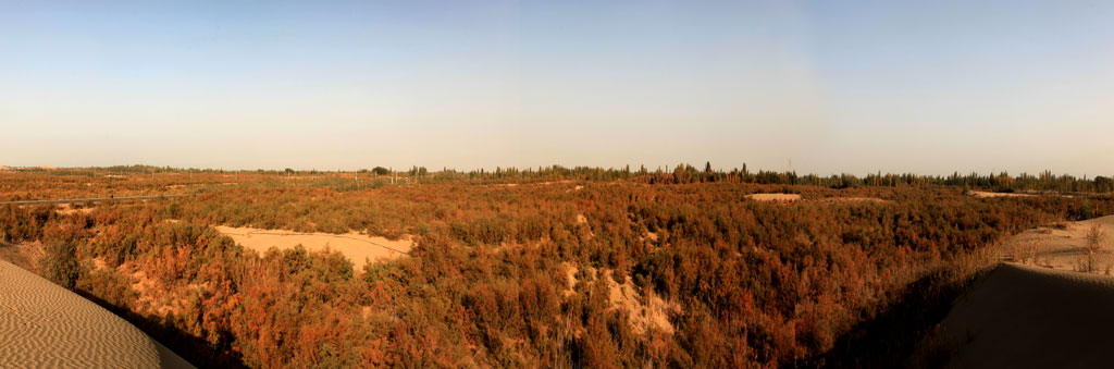 1531796686290894.jpg 沙漠全景.jpg