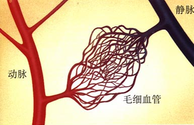 1531798444924968.png 图2.png