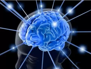 1531887504784899.png 5.png