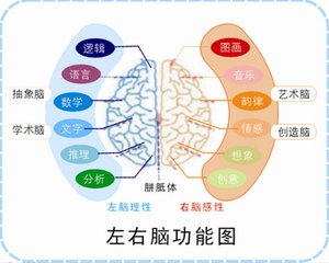 1532053066132770.jpg 4学习记忆.jpg