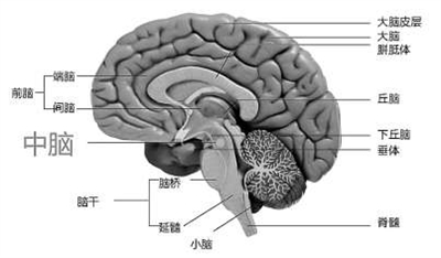 1532400856100638.jpg 图片3.jpg