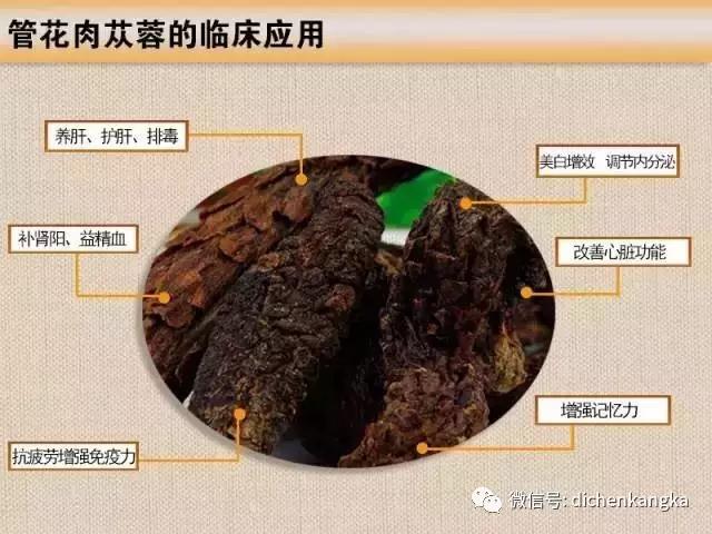 1532662995110957.jpg 新闻5.jpg
