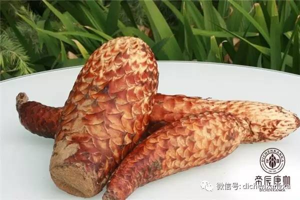 1552462950254059.jpg 微信图片_20170524124345.jpg