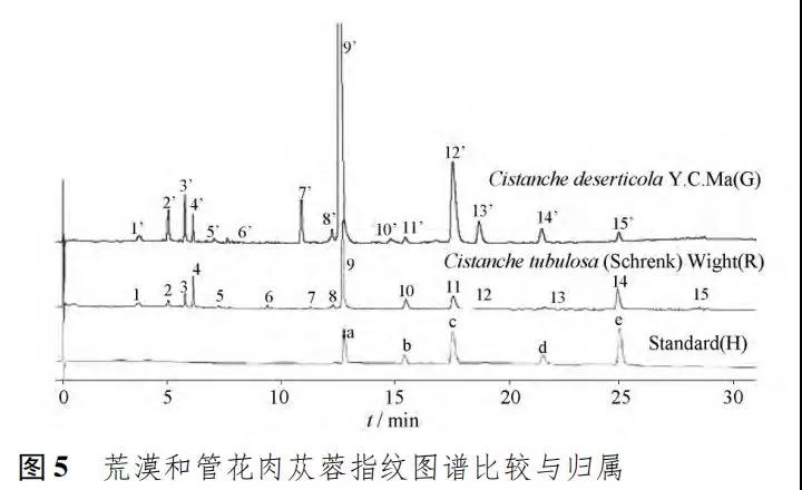 1574151700504676.jpg 微信图片_20191119162121.jpg