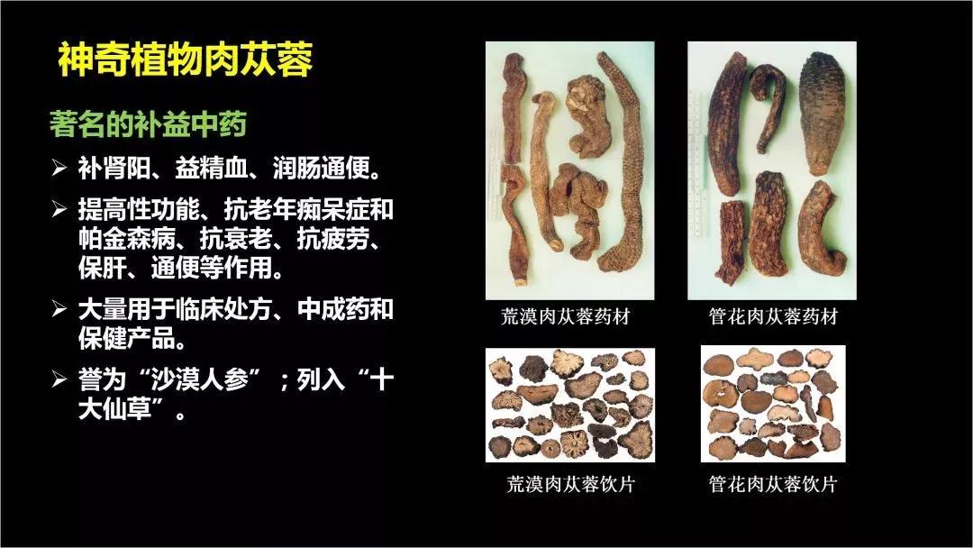 1575451005549860.jpg 微信图片_20191204171351.jpg