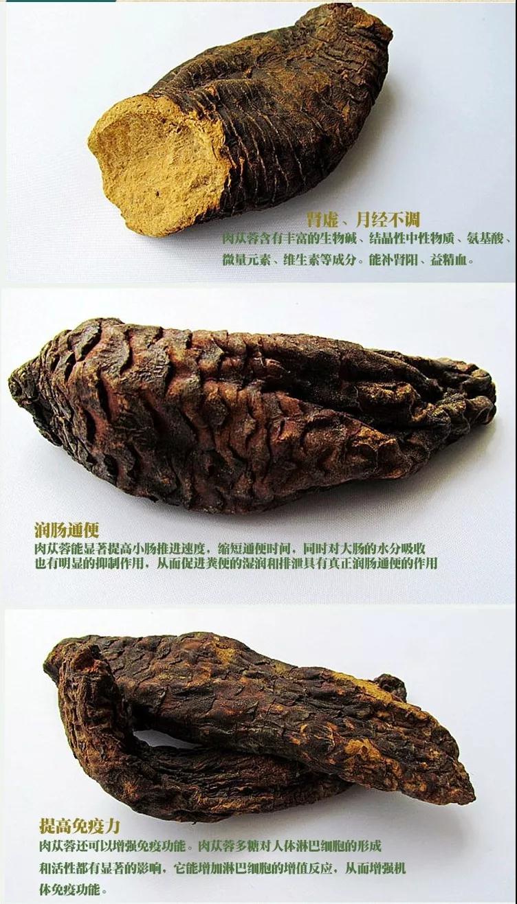 1577424680456997.jpg 微信图片_20191227133107.jpg