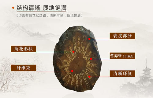 1589249752267227.jpg u=1261109402,4140971030&fm=26&gp=0.jpg