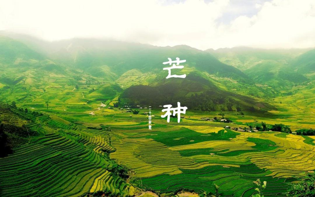 1591322900134706.jpg 微信图片_20200605100621.jpg