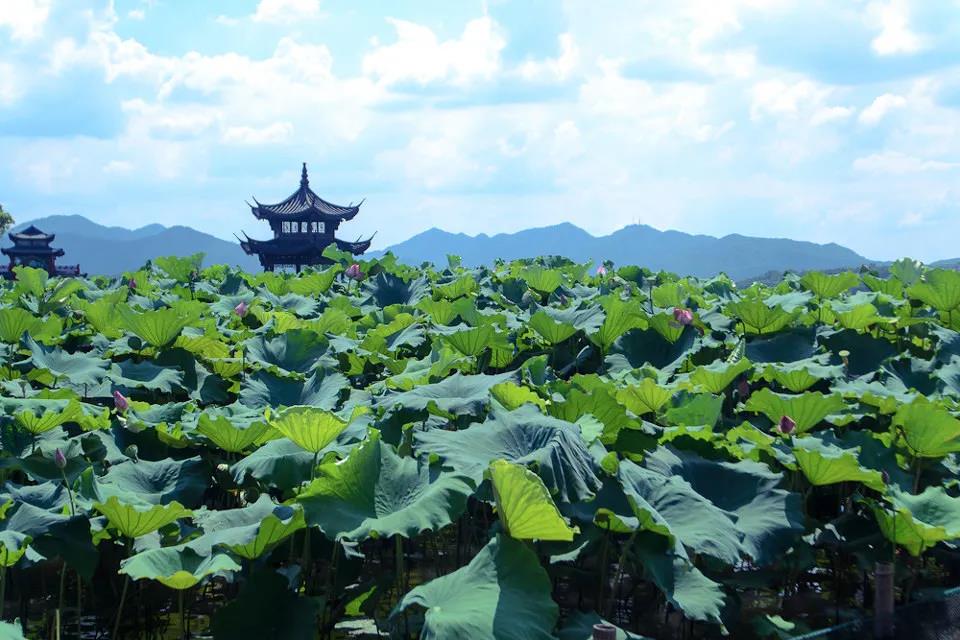 1594347984110841.jpg 微信图片_20200710102538.jpg