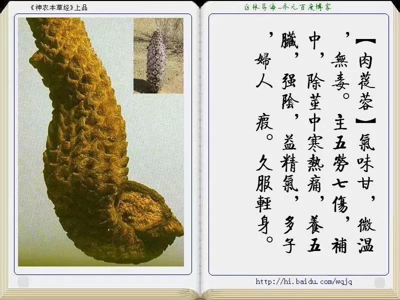 1599127540360176.jpg 微信图片_20200903180258.jpg
