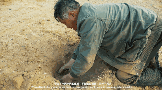 1599127713760974.gif 微信图片_20200903180330.gif