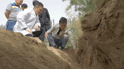 1599127802646208.gif 微信图片_20200903180345.gif