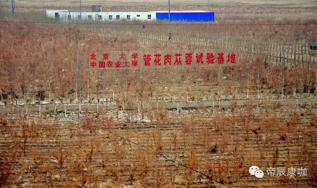 1599206199990806.jpg 微信图片_20200904155456.jpg