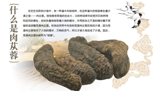 1599636735716436.jpg u=2388266578,4187132921&fm=26&gp=0.jpg