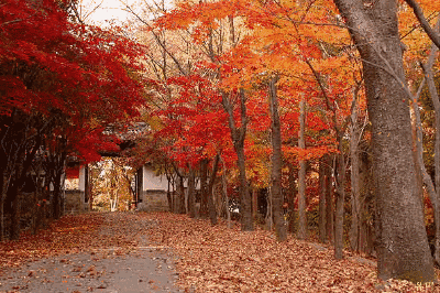 1600742365321447.gif 微信图片_20200922103905.gif