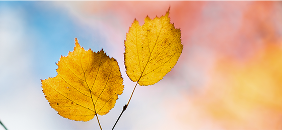 1600742392137305.png 微信图片_20200922103858.png