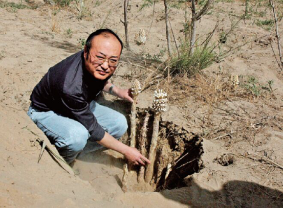 1618803139133239.png 356.png