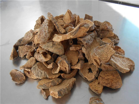肉苁蓉4大功效 ,肉苁蓉的功效,肉苁蓉抗衰老