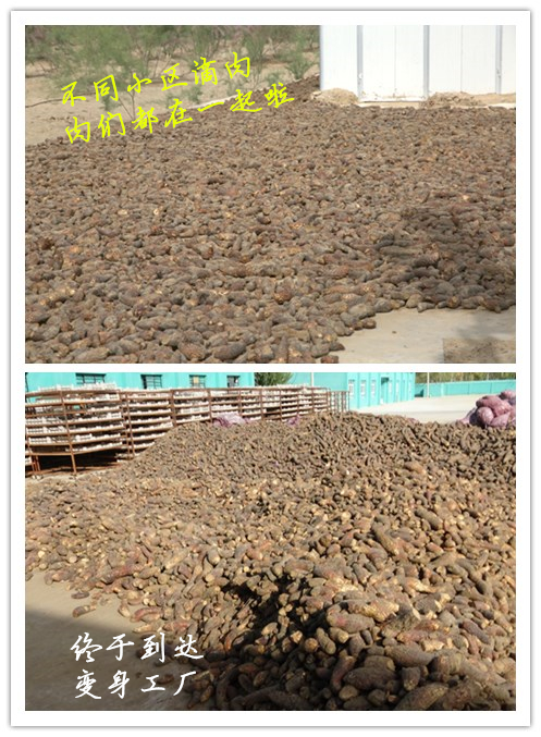 1630386202136922.jpg 集合.jpg