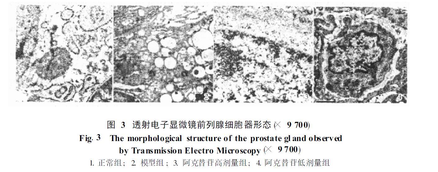 1634013680952293.jpg 微信截图_20211012124111.jpg