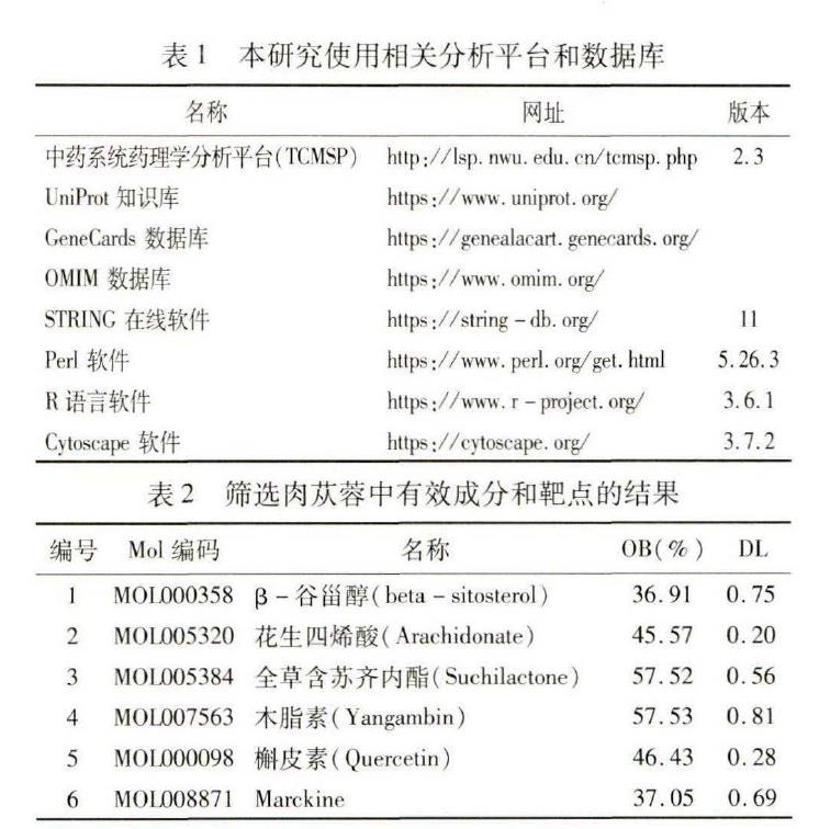 肉苁蓉 www.www.y7k.org 肉苁蓉 www.www.y7k.org