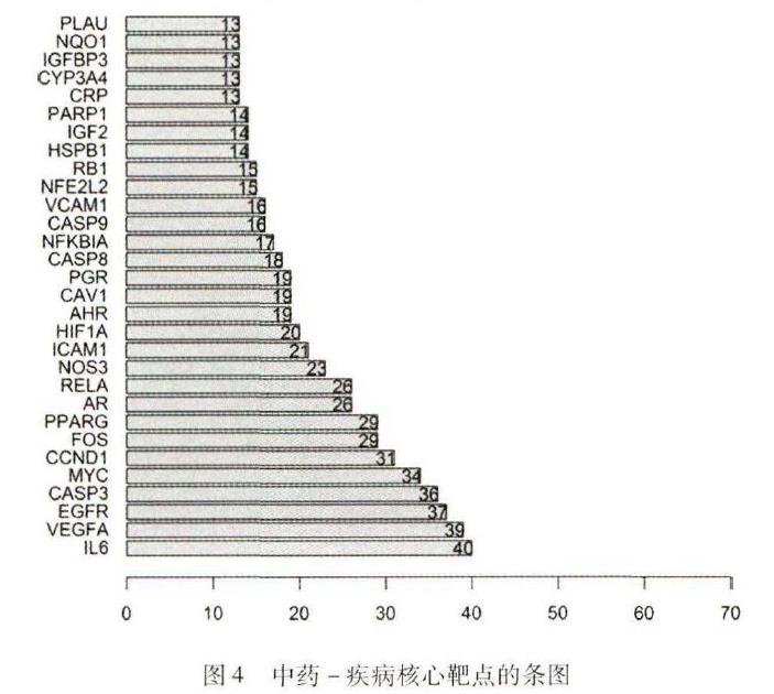 肉苁蓉 www.www.y7k.org 肉苁蓉 www.www.y7k.org