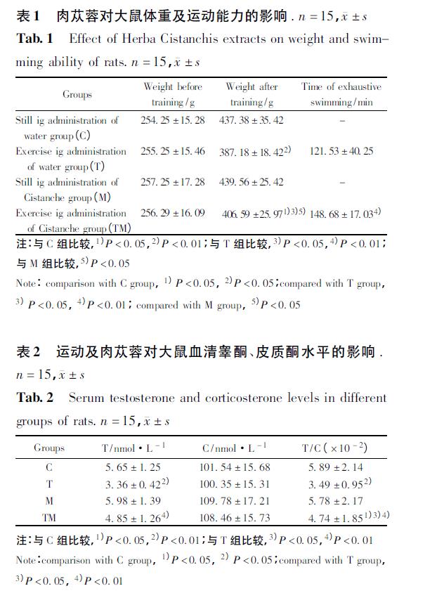 肉苁蓉 www.www.y7k.org 肉苁蓉 www.www.y7k.org