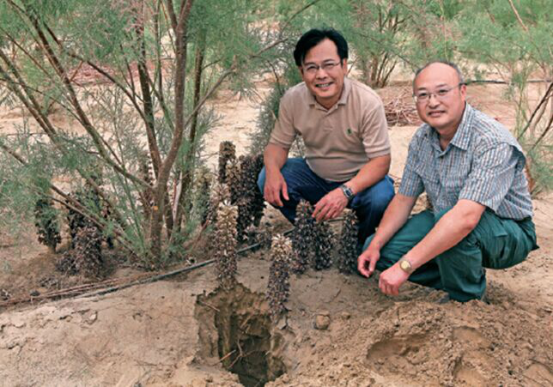 1637812614123032.png 3009.png