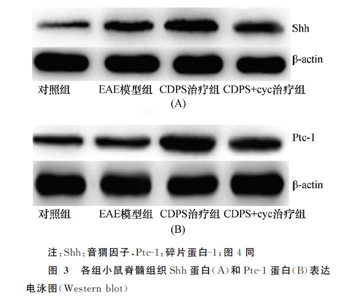 1638331307932154.jpg 微信截图_20211201120138.jpg