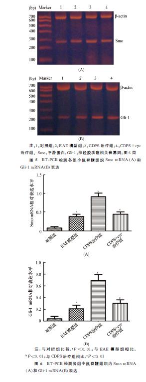 1638331400138476.jpg 微信截图_20211201120310.jpg