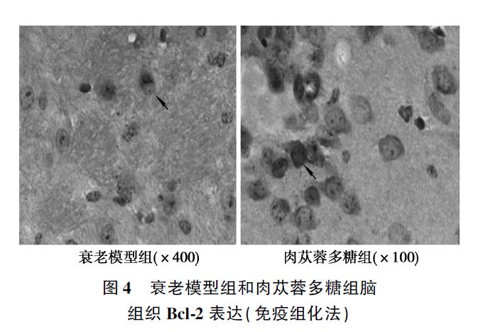 1639542113836968.jpg 微信截图_20211215122146.jpg