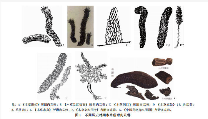 1639714561176086.png image.png