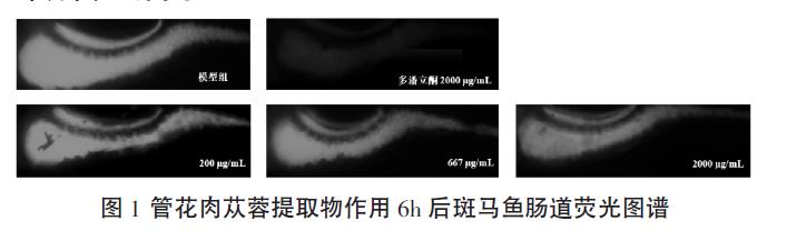 1640055687139453.jpg 微信截图_20211221110120.jpg