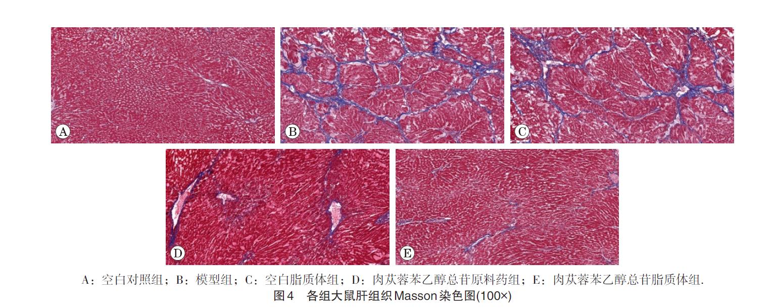 1640226173247561.jpg 微信截图_20211223102244.jpg