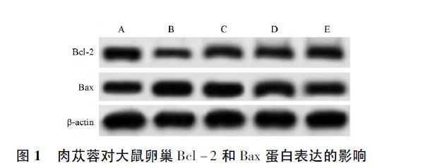 1640312762671941.jpg 微信截图_20211224102553.jpg