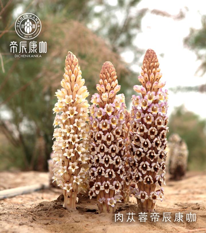 1643012985981597.jpg 微信截图_20211110101634.jpg