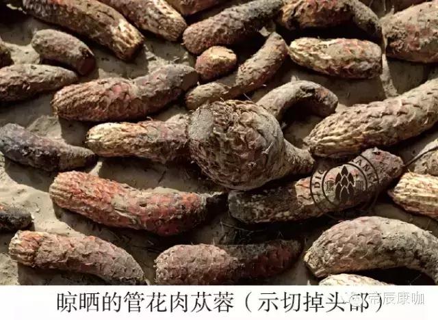 5 晾晒的德赢vwin登录.jpg