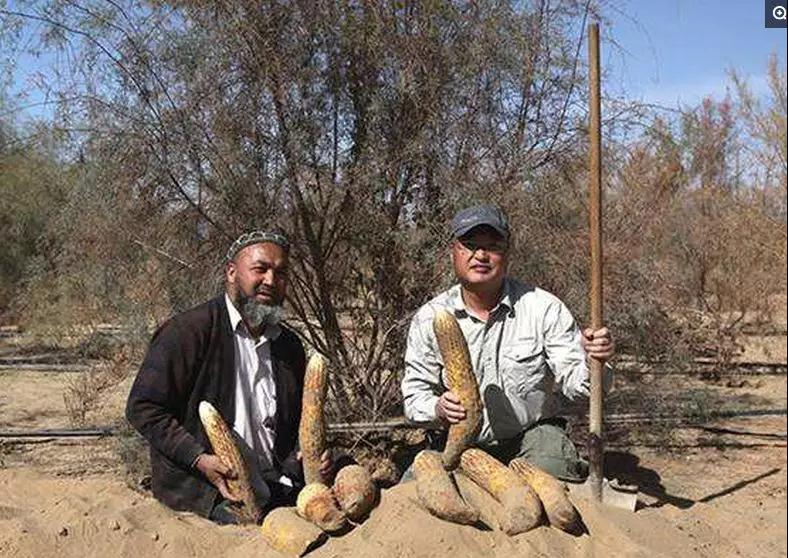 1574224208940244.jpg 微信图片_20191120122804.jpg