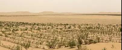 1574224243313013.jpg 微信图片_20191120122809.jpg