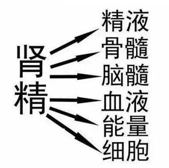 微信图片_20191211130152.jpg