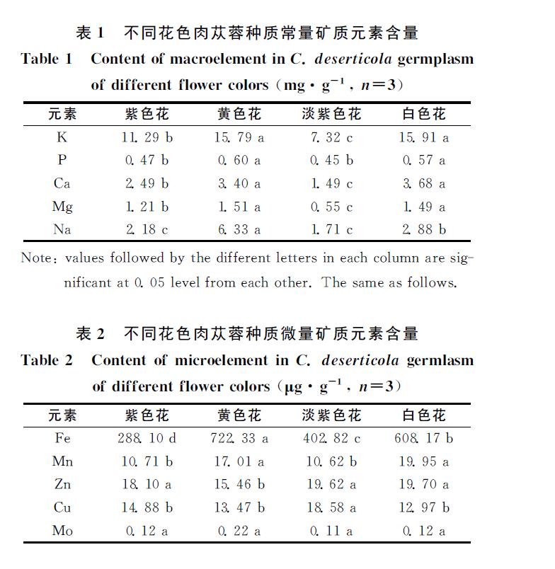 肉苁蓉 www.www.y7k.org