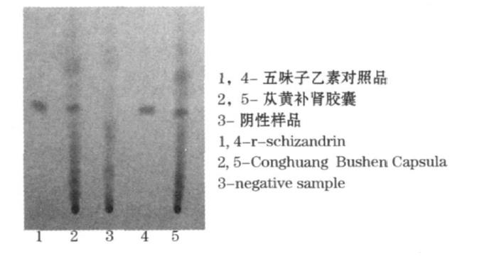 肉苁蓉 www.www.y7k.org