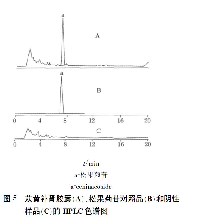 肉苁蓉 www.www.y7k.org