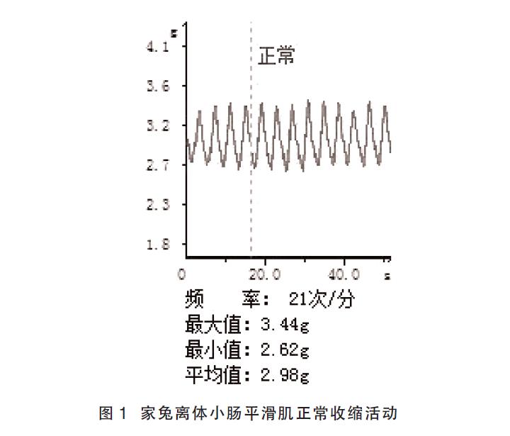 肉苁蓉 www.www.y7k.org