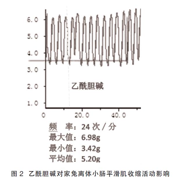 肉苁蓉 www.www.y7k.org