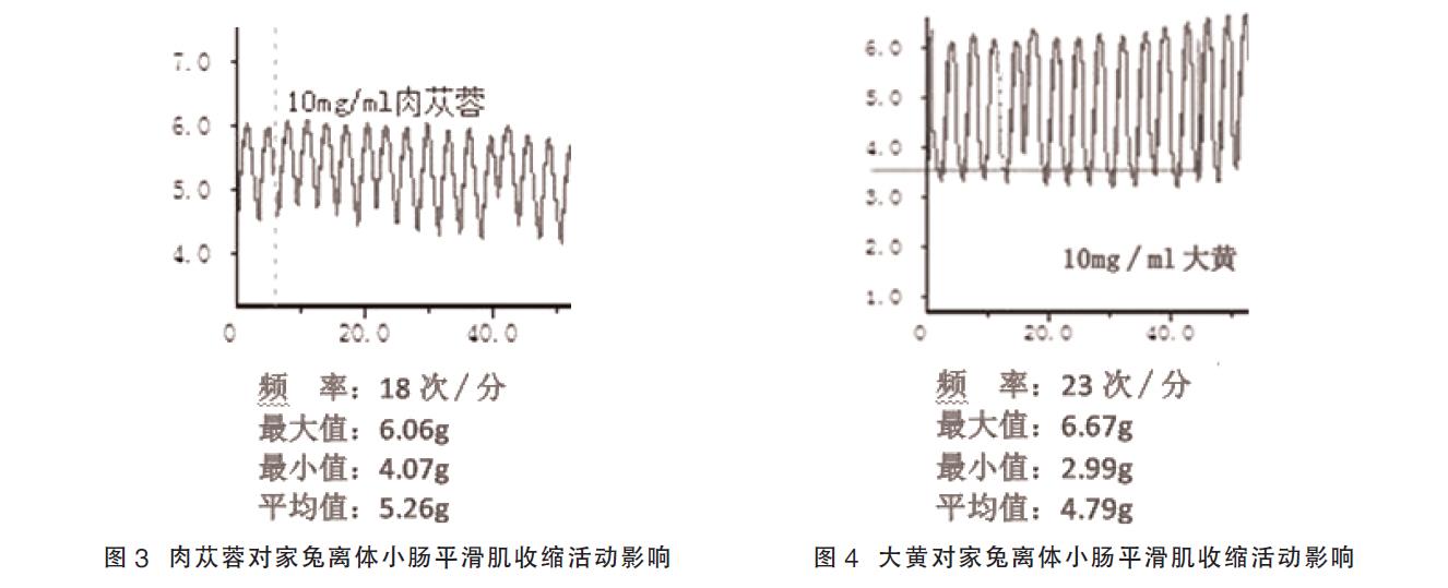 肉苁蓉 www.www.y7k.org
