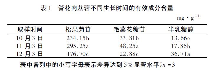 肉苁蓉 www.www.y7k.org