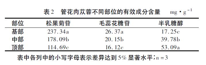肉苁蓉 www.www.y7k.org