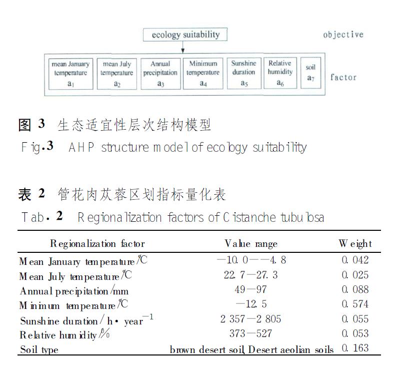 肉苁蓉 www.www.y7k.org