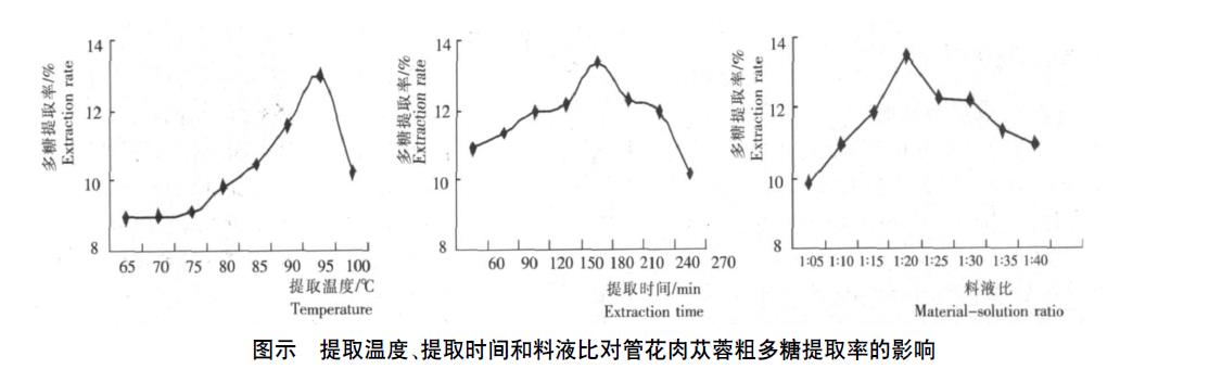 肉苁蓉 www.www.y7k.org